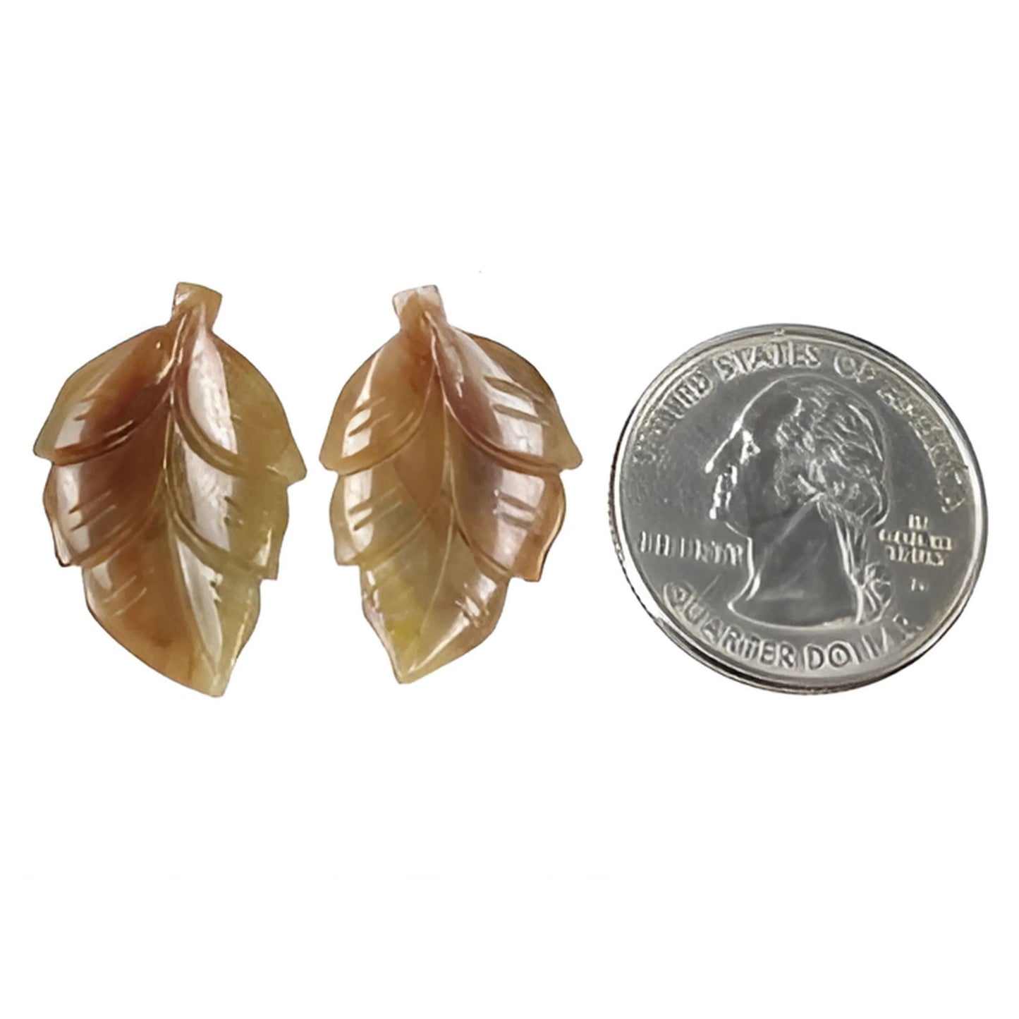 natürliches indisches Blatt