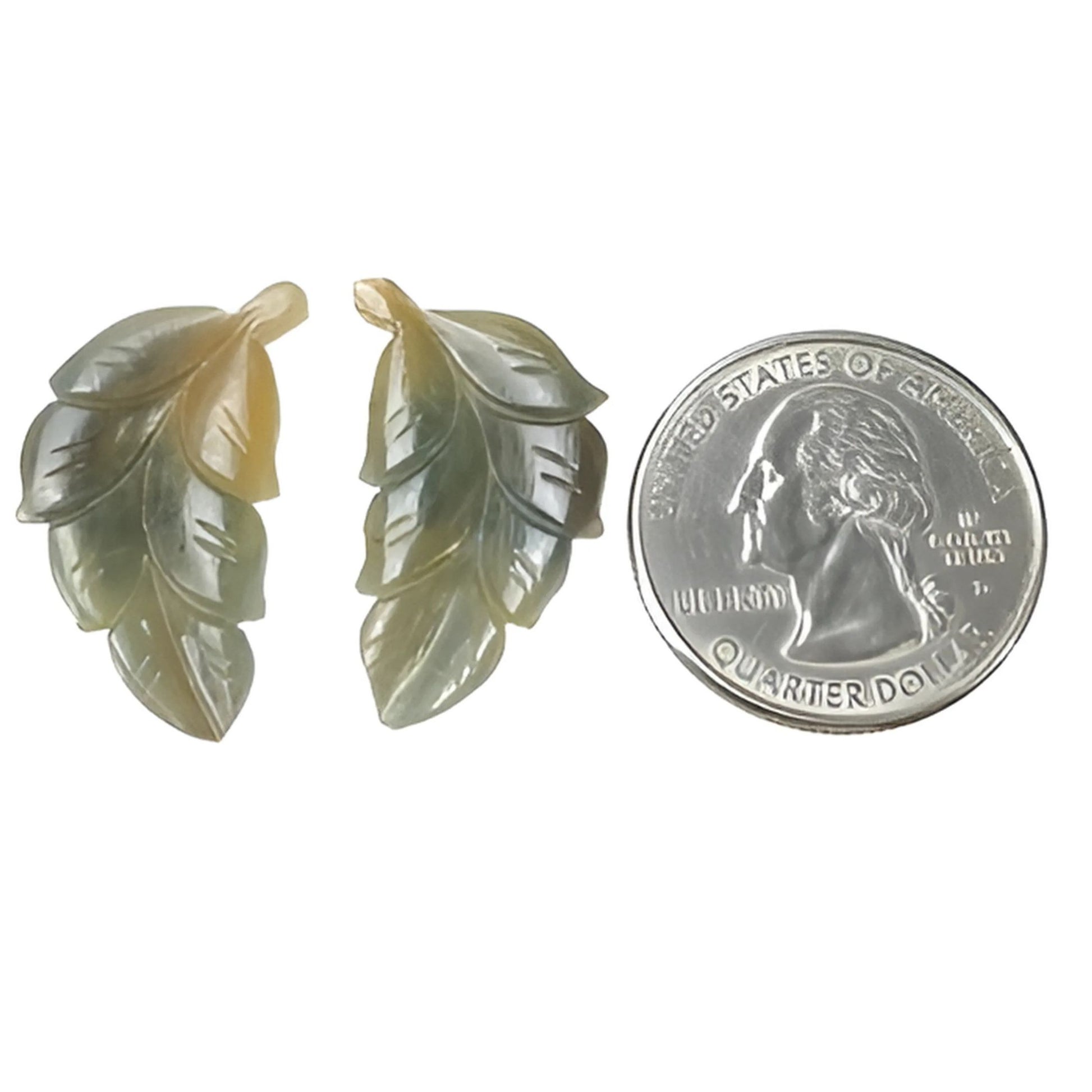 نحت أوراق الشجر الهندية