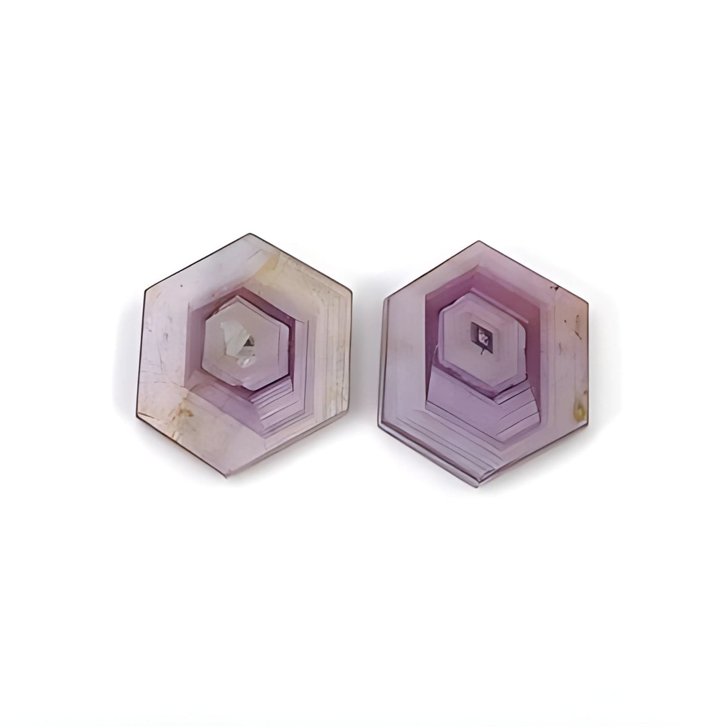 rosemary ruby hexagon shape flat slices