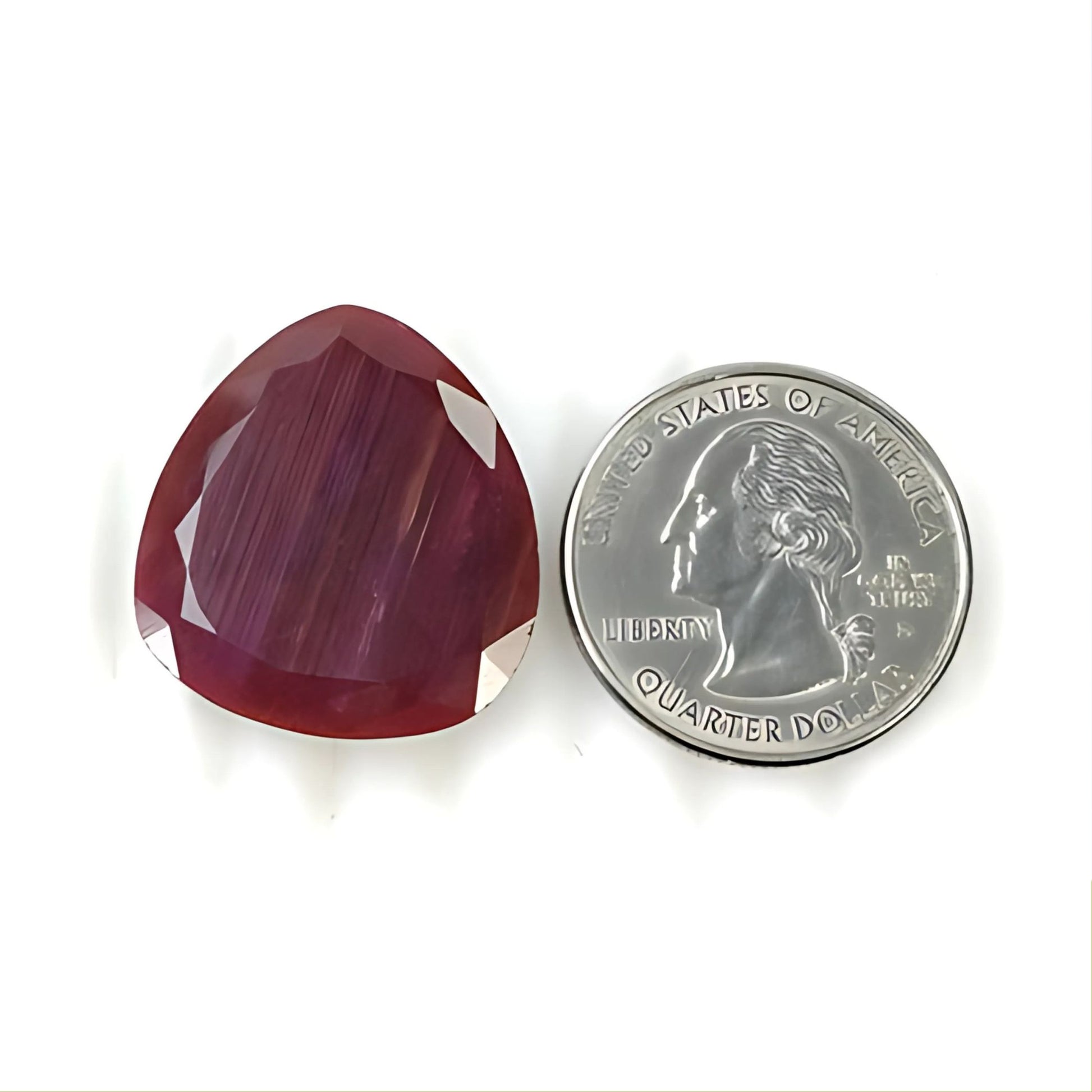 レッドルビーファンシーノーマルカット