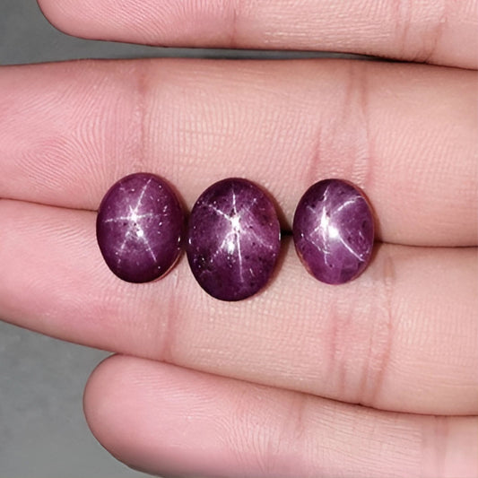 スタールビーカボション