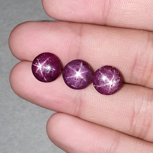 スタールビーカボション