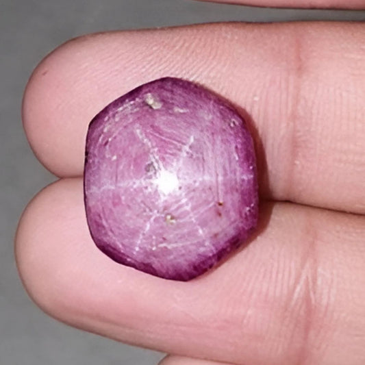 スタールビーカボション