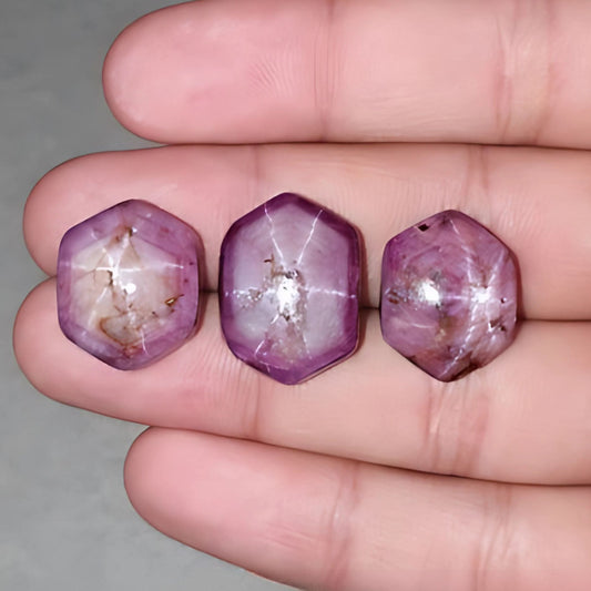 スタールビーカボション