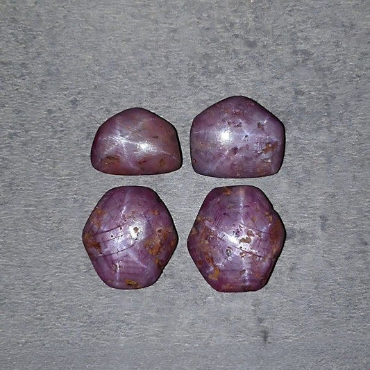 スタールビーカボション