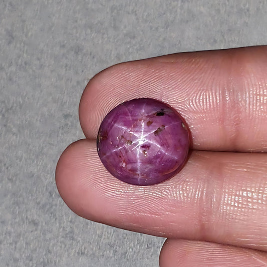 スタールビーカボション