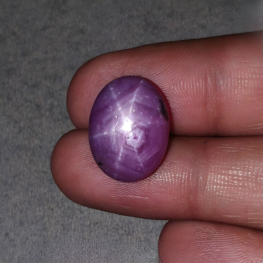 スタールビーカボション