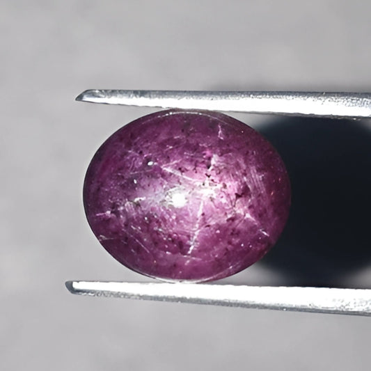 スタールビーカボション