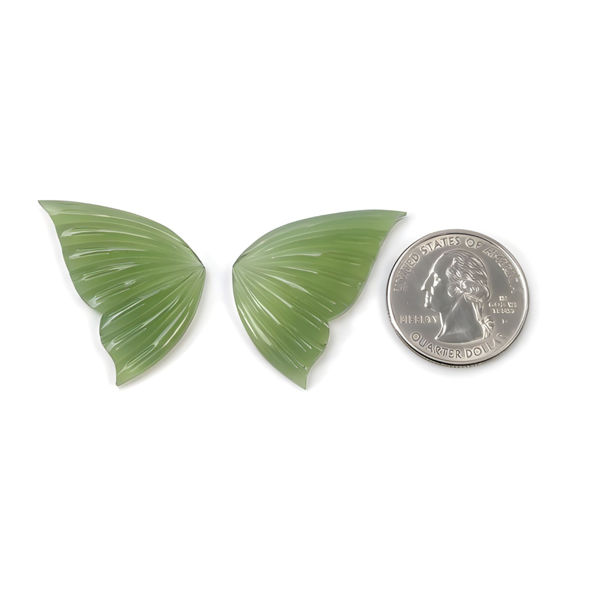 Intaglio di farfalla serpentina