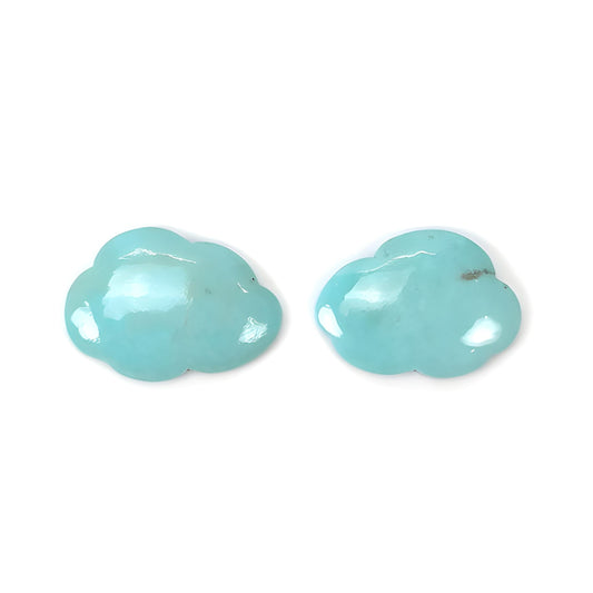 Turquoise Carving Gemstone