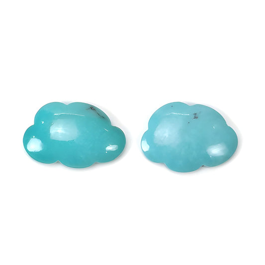 Turquoise Caerving Gemstone