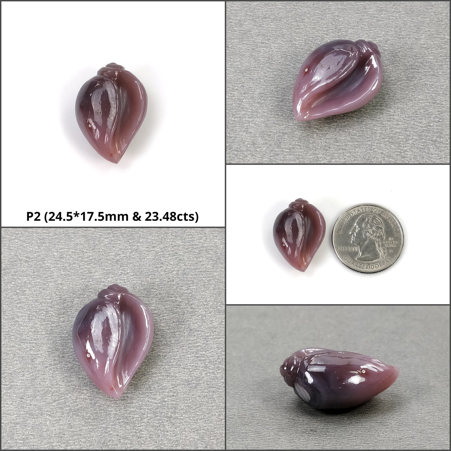 Agate Sea Shell