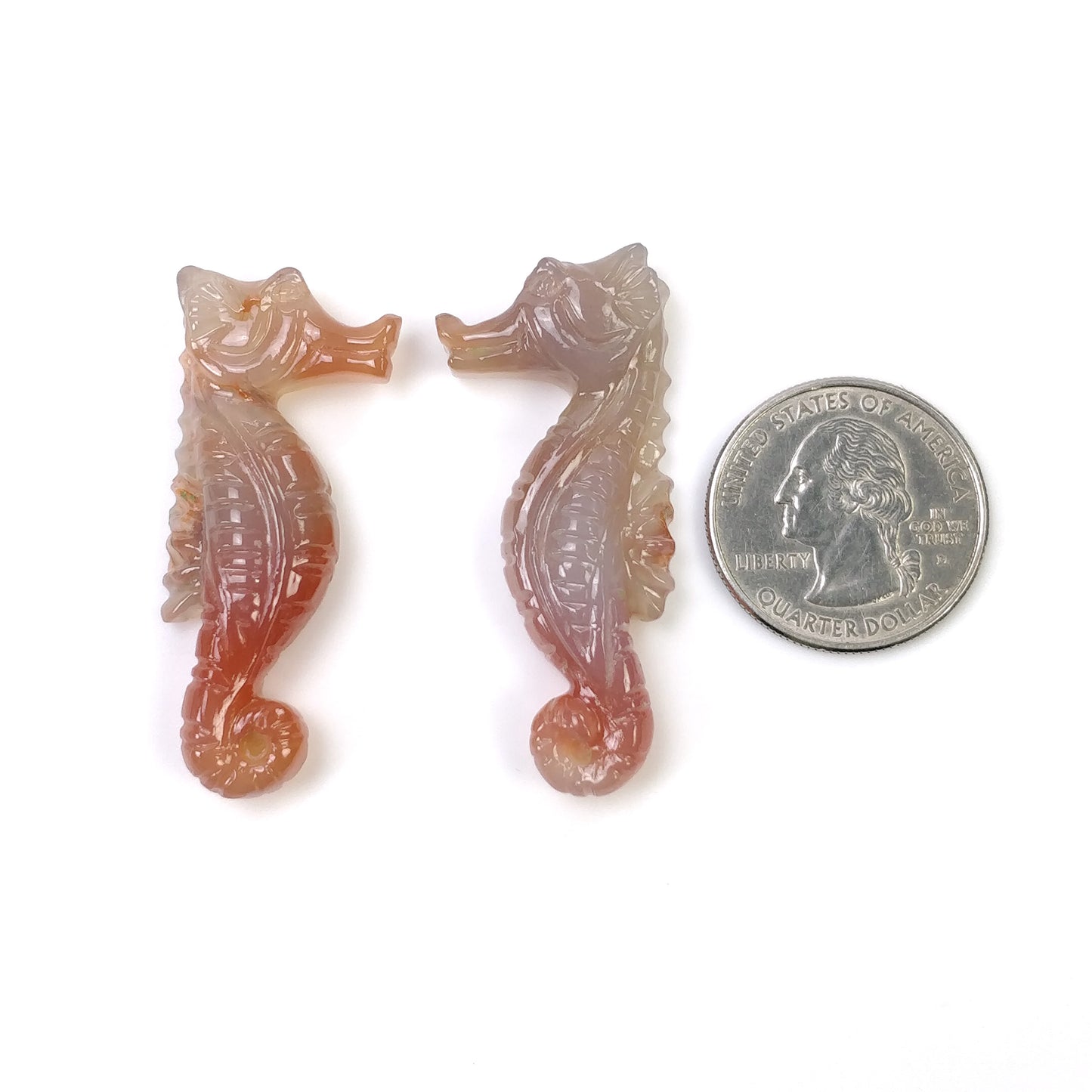 Hand Carved Sea Horse