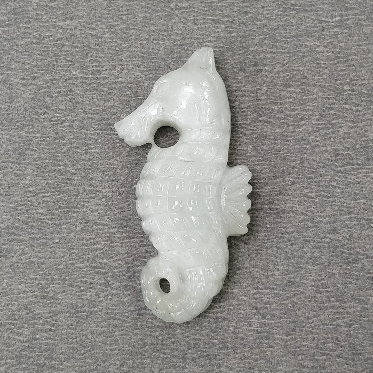 Sea Horse