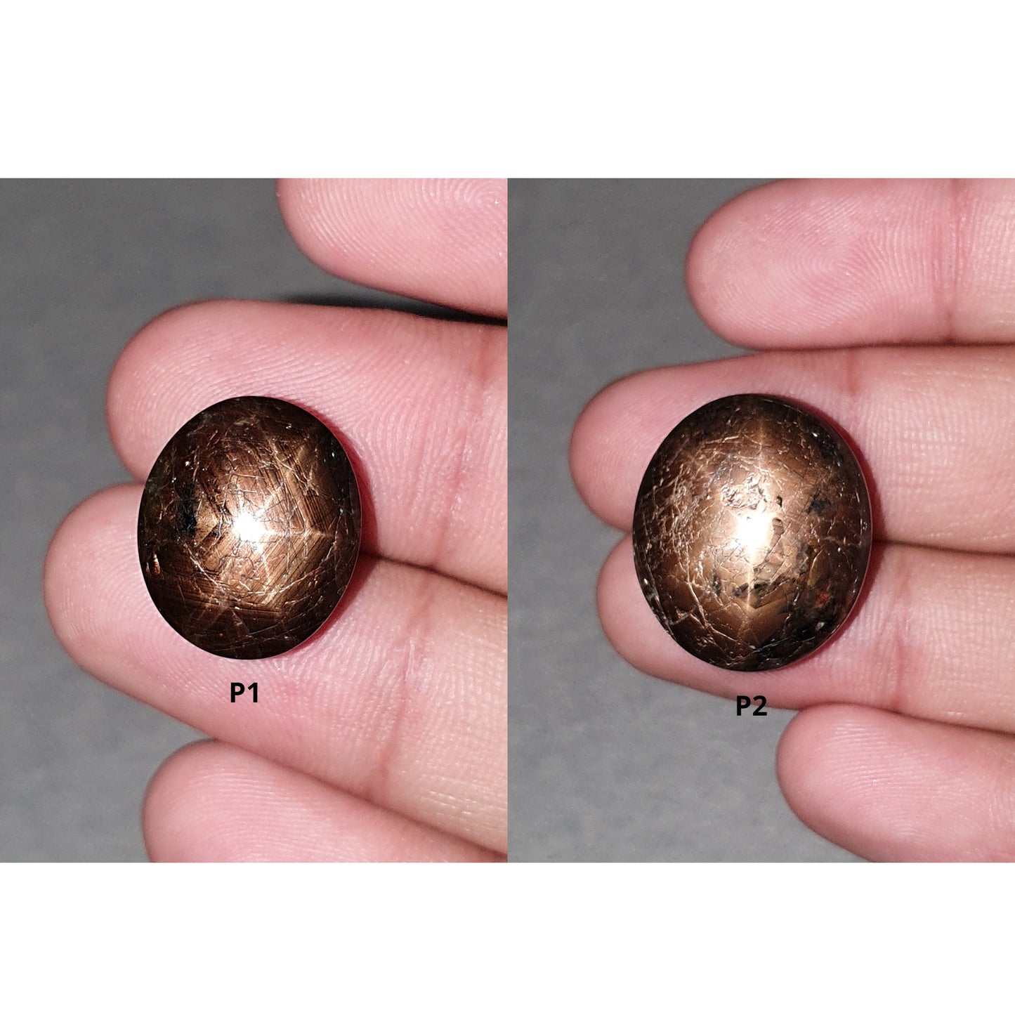 Star Sapphire Gemstone Cabochon : Natural Untreated Golden Brown Chocolate Sapphire 6Ray Star Oval Shape