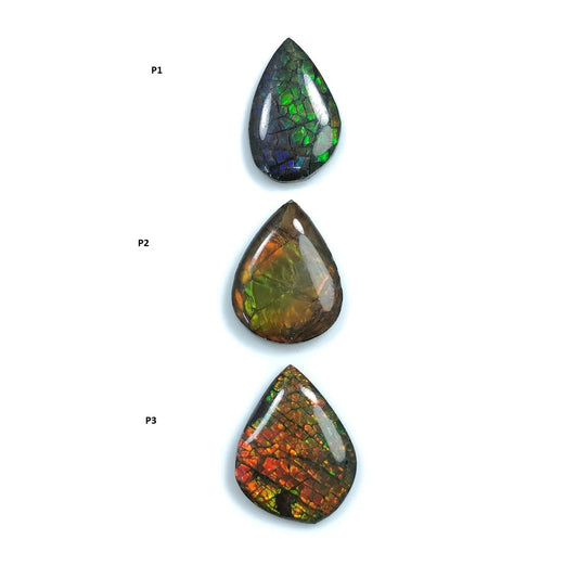 Ammolite Gemstone