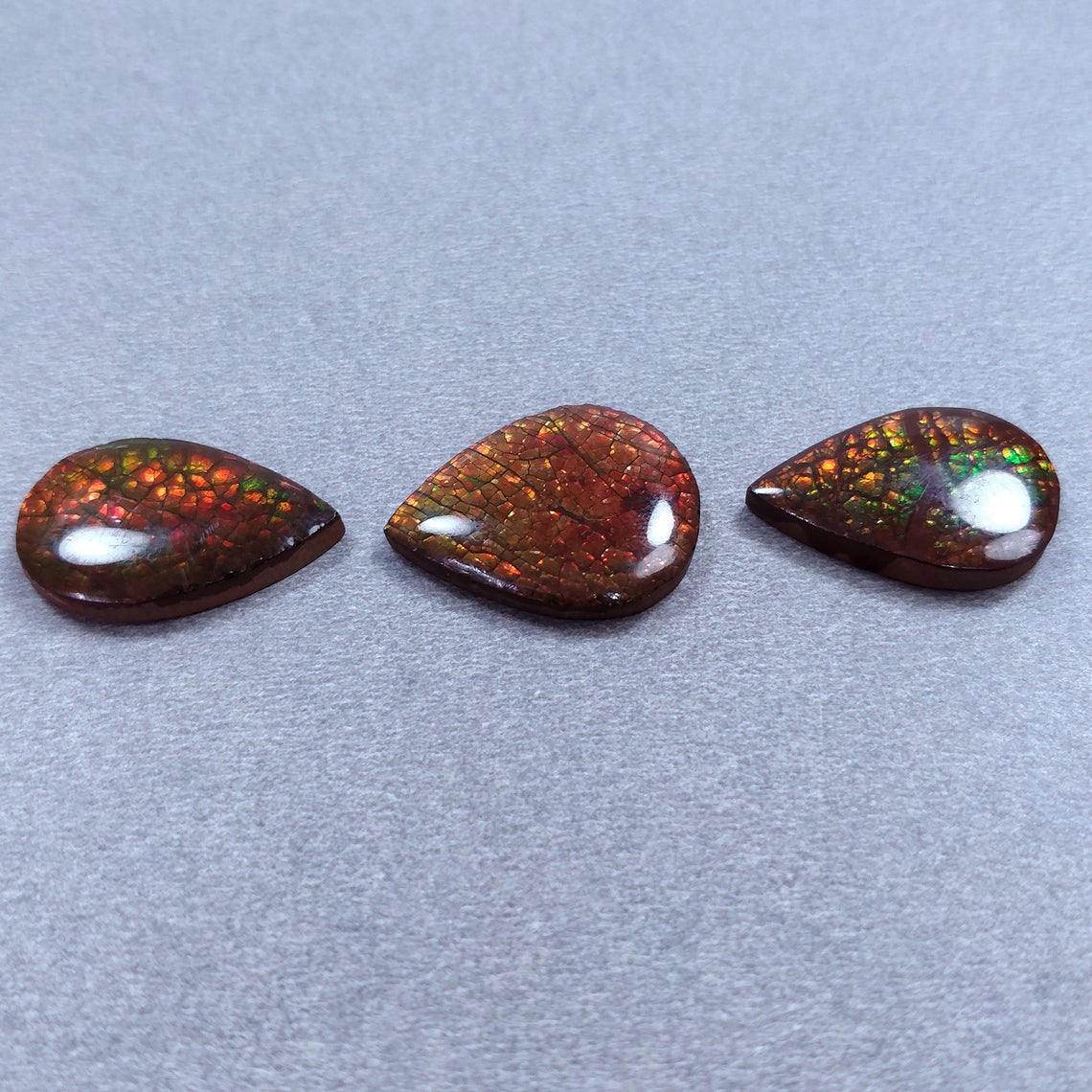 AMMOLITE Gemstone Cabochon : 29.20cts Natural Fossilized Shell Bi-Color Ammolite Pear 21*14mm - 22*17mm 3pcs (With Video)