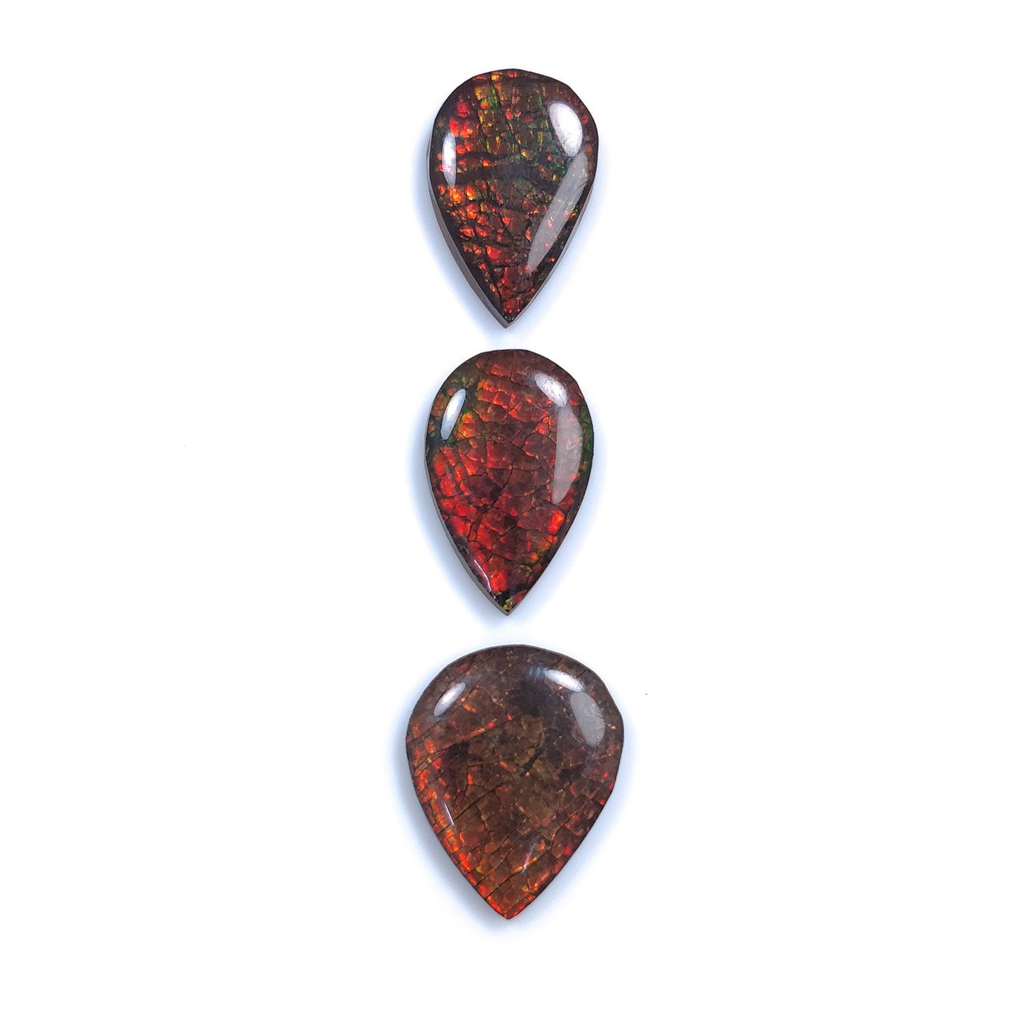AMMOLITE Gemstone Cabochon : 29.20cts Natural Fossilized Shell Bi-Color Ammolite Pear 21*14mm - 22*17mm 3pcs (With Video)