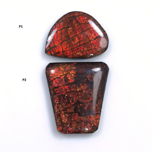 Rare Fire AMMOLITE Gemstone Cabochon : Natural Fossilized Shell Bi-Color Ammolite Uneven Shape Cabochon 1pc (With Video)