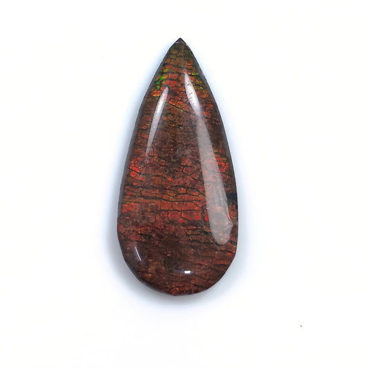 AMMOLITE Gemstone Cabochon : 10.70cts Natural Fossilized Shell Bi-Color Ammolite Pear Shape Cabochon 30*14mm (With Video)