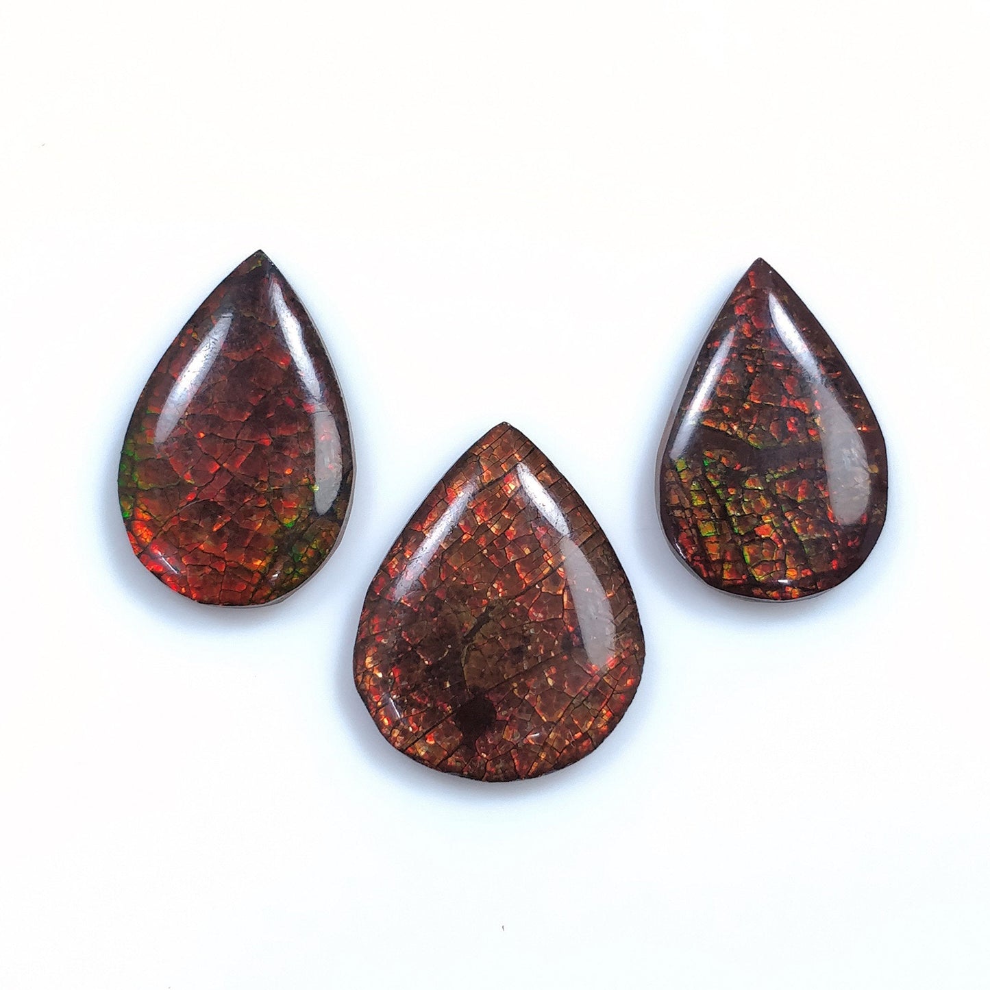 AMMOLITE Gemstone Cabochon : 29.20cts Natural Fossilized Shell Bi-Color Ammolite Pear 21*14mm - 22*17mm 3pcs (With Video)