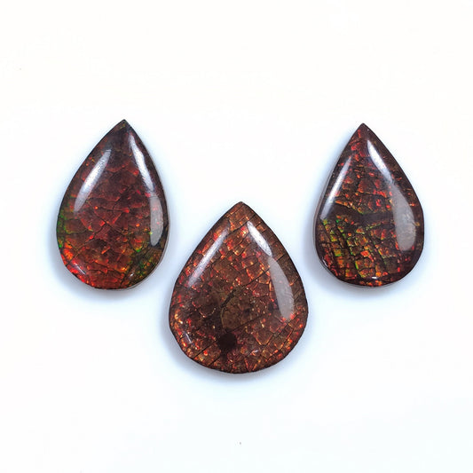 AMMOLITE Gemstone Cabochon : 29.20cts Natural Fossilized Shell Bi-Color Ammolite Pear 21*14mm - 22*17mm 3pcs (With Video)