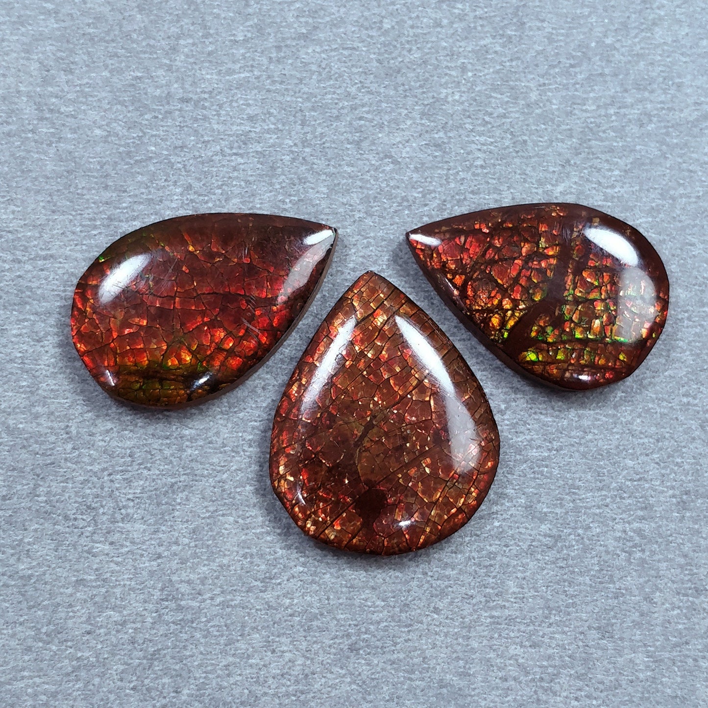 AMMOLITE Gemstone Cabochon : 29.20cts Natural Fossilized Shell Bi-Color Ammolite Pear 21*14mm - 22*17mm 3pcs (With Video)