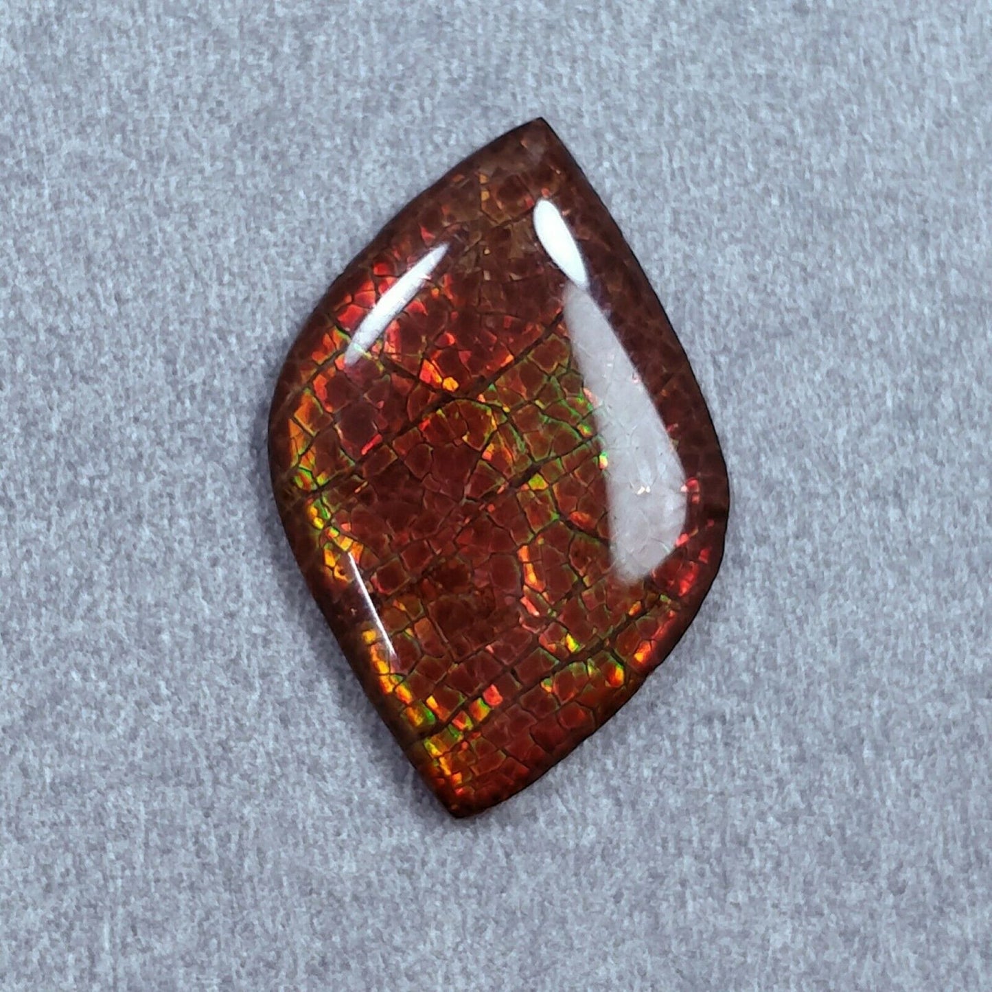 Uneven Shape Ammolite