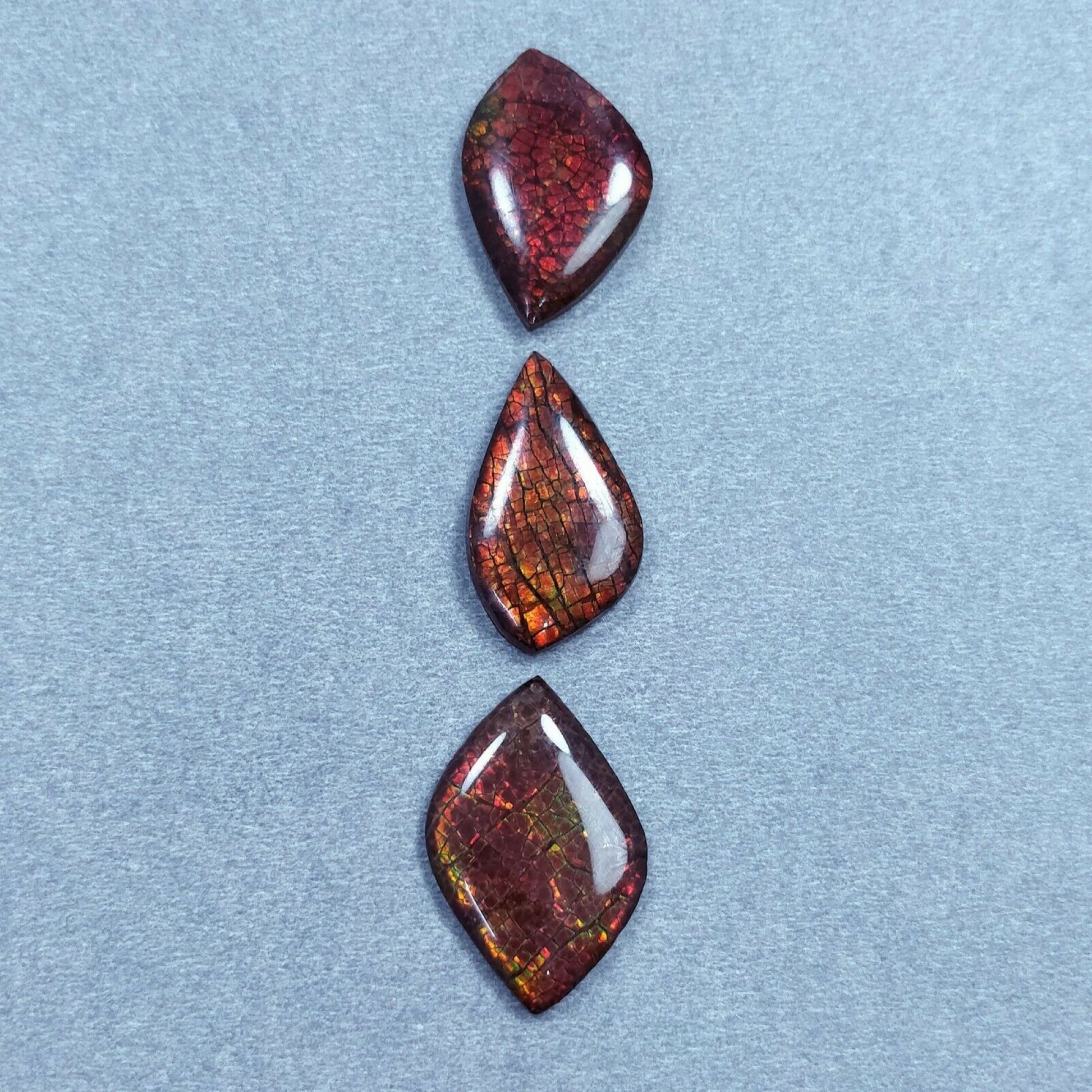Fire Ammolite