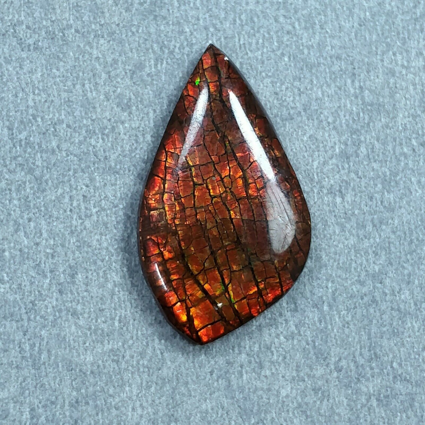 Ammolite Pendant