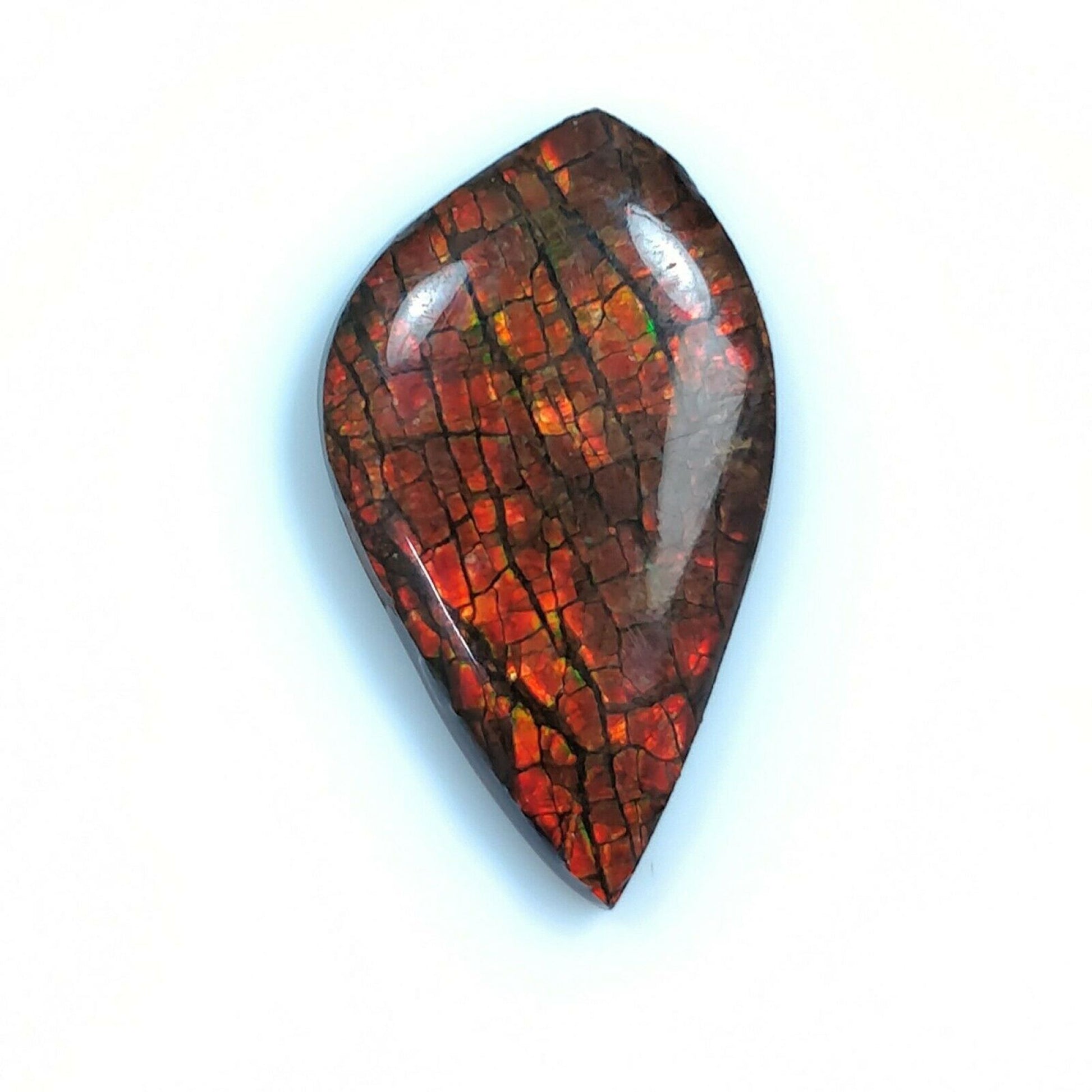 Ammolite Ring