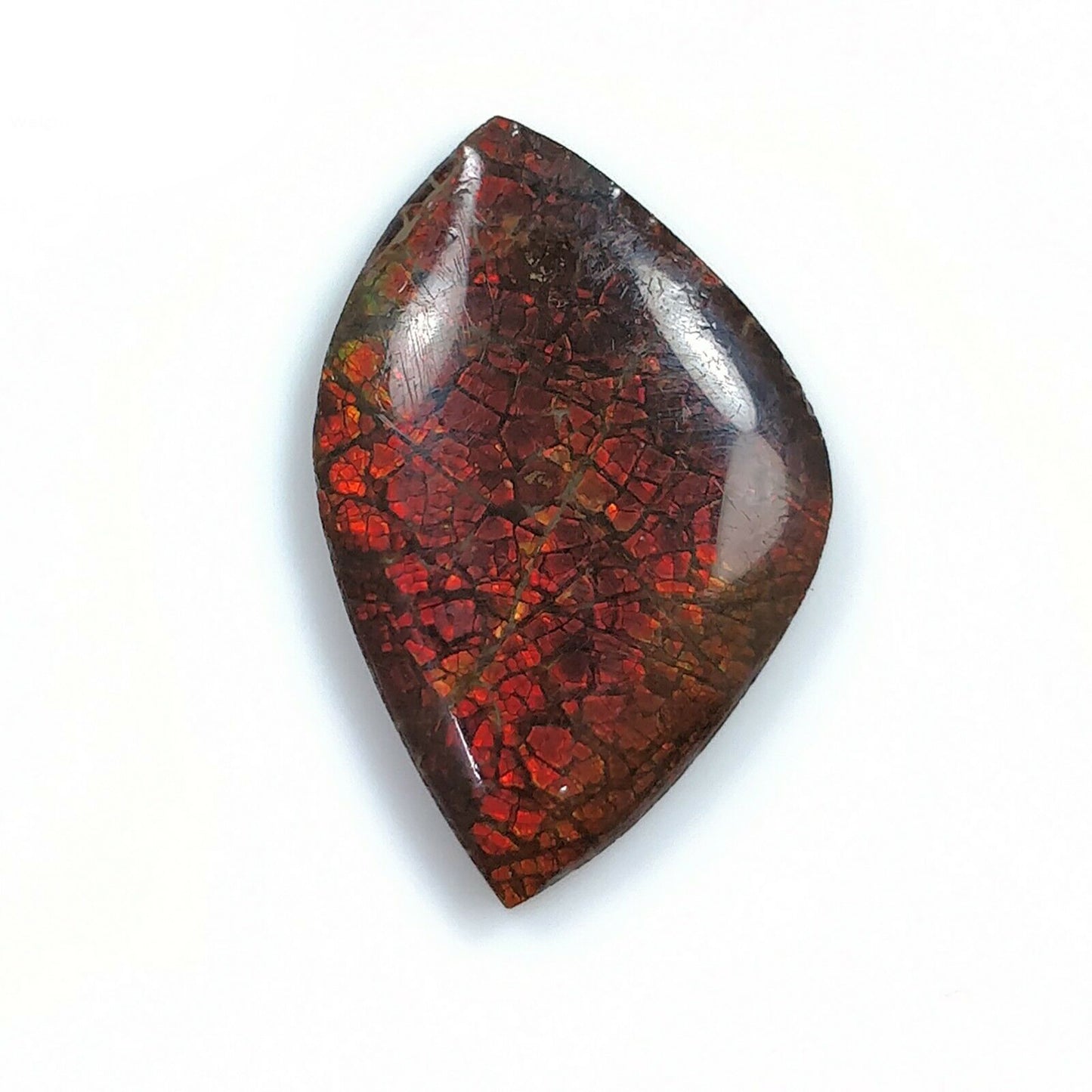 Ammolite Jewelry