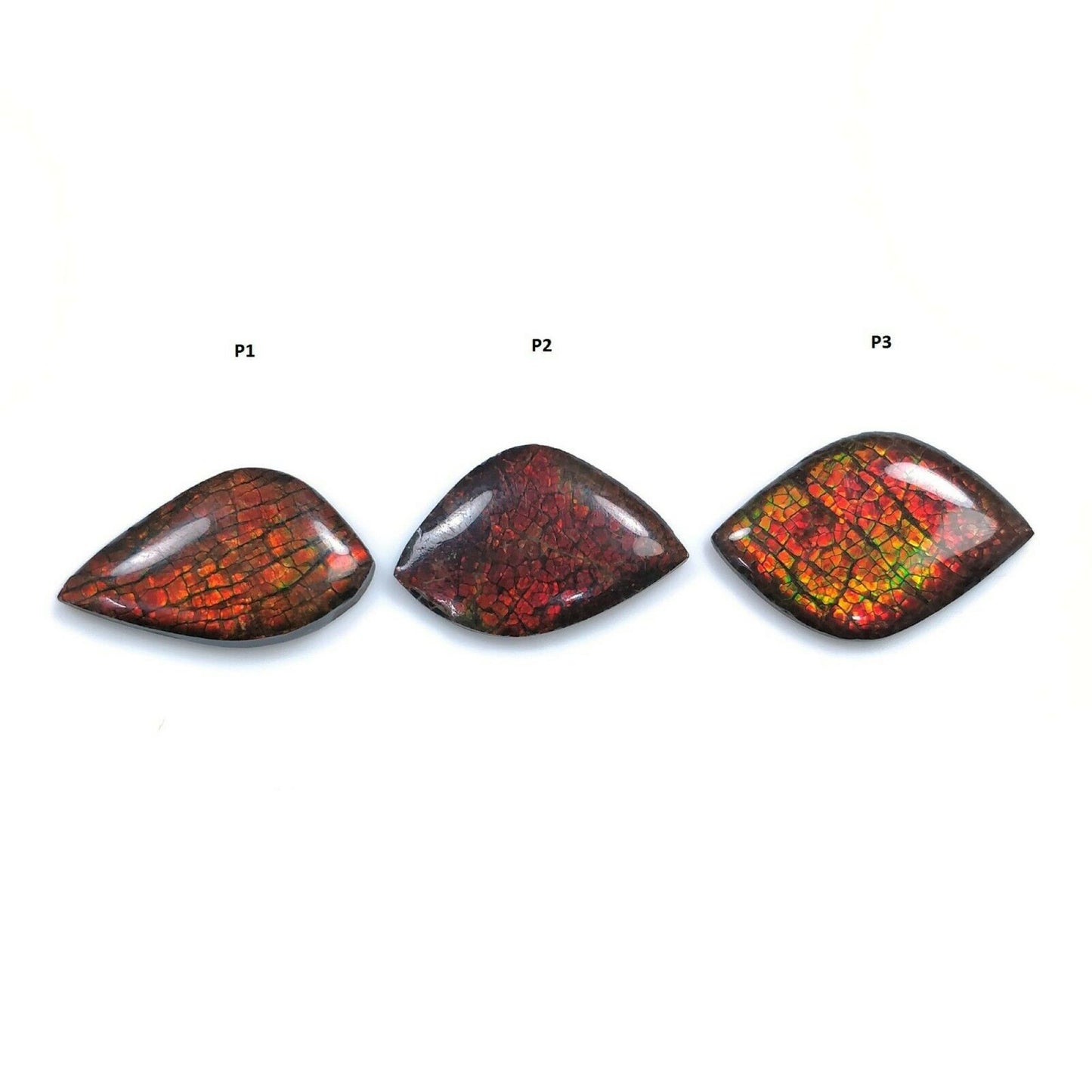 Natural Ammolite